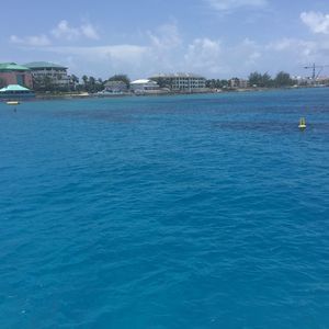 Meet your Posher, Louis